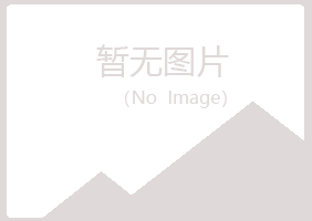 九江夏岚银行有限公司